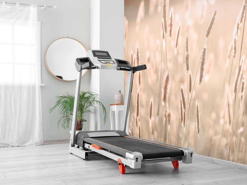 Zonlicht door weiland