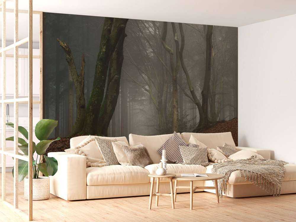 Pad door mysterieus bos