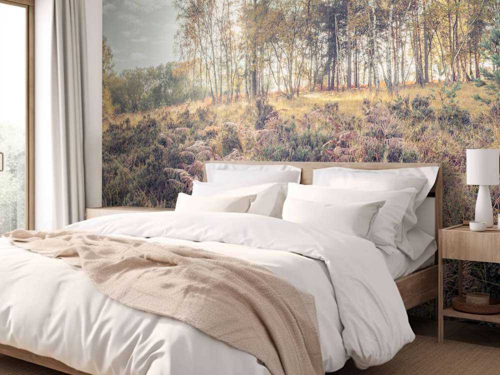 Bos tijdens de ochtend