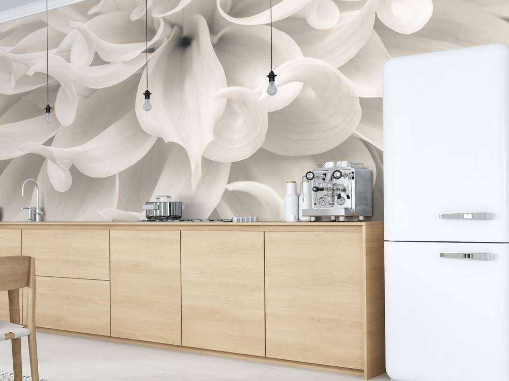 Close-up van Dahlia bloem