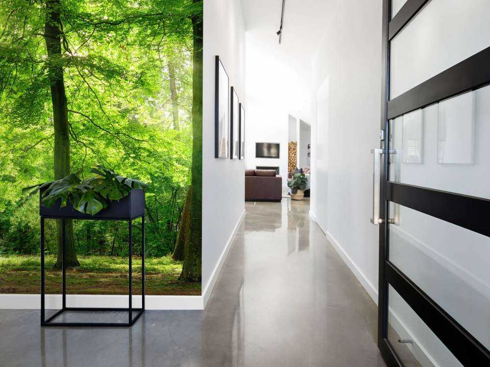 Bos met lichte nevel