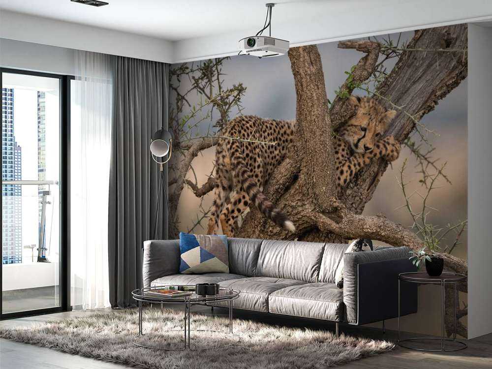 Luipaard krabt aan een boom