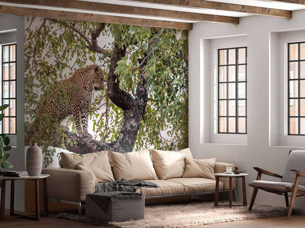 Luipaard in Kruger National Park