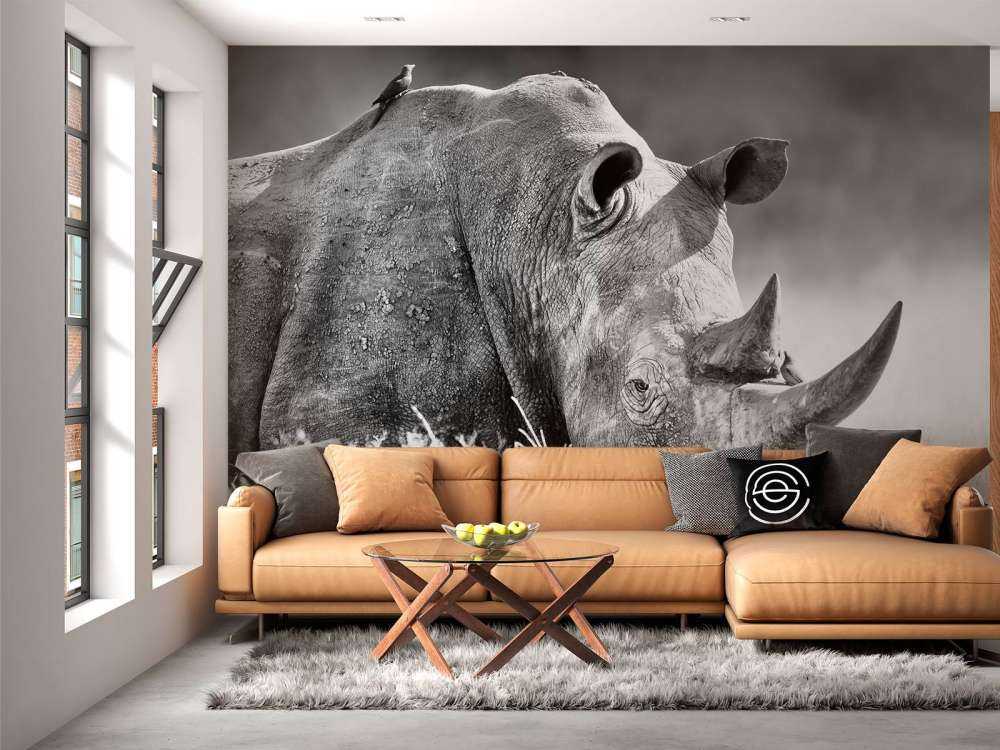 Neushoorn in zwart-wit