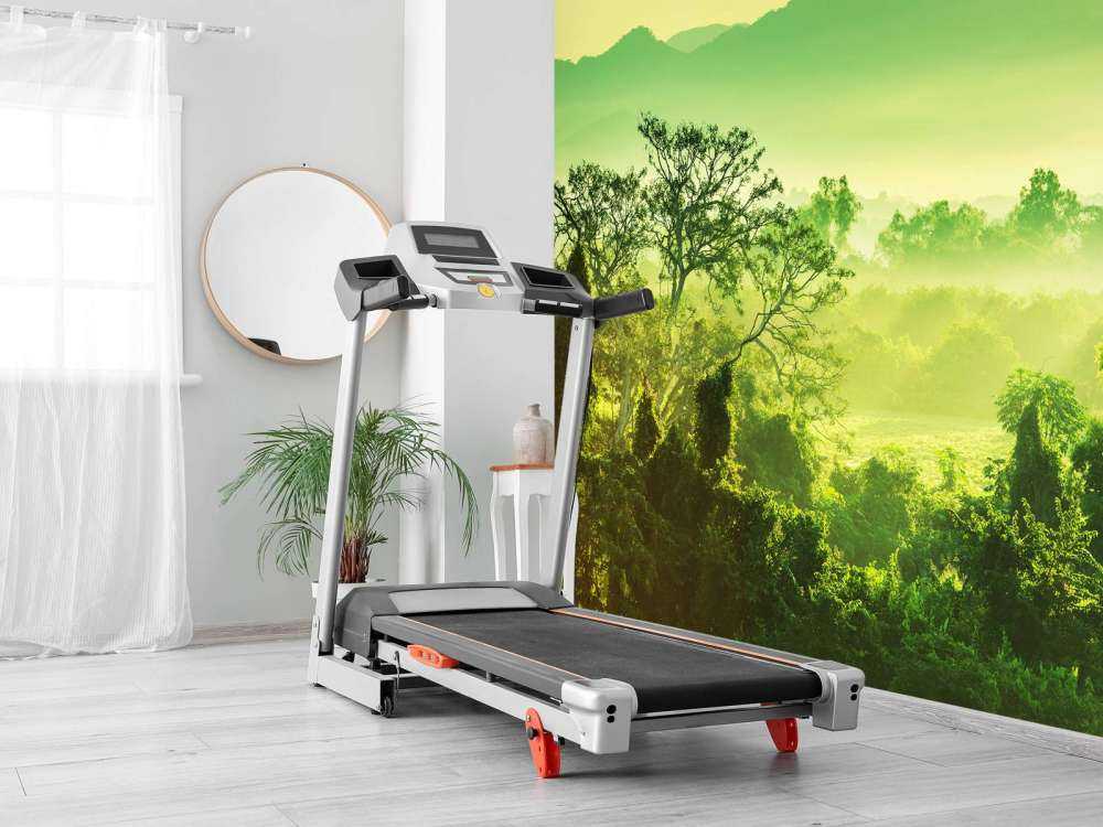 Tropische jungle in Mexico