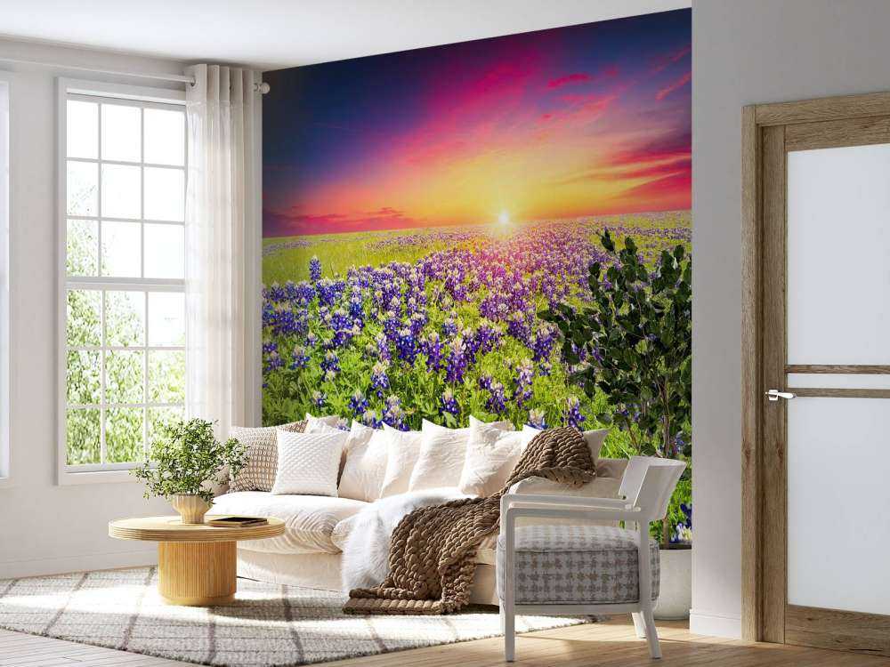 Bluebonnets met mooie Zonsondergang