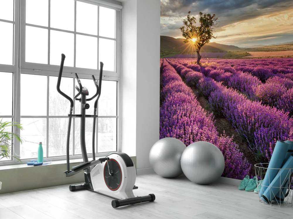 Prachtig landschap met lavendel veld bij zonsopkomst