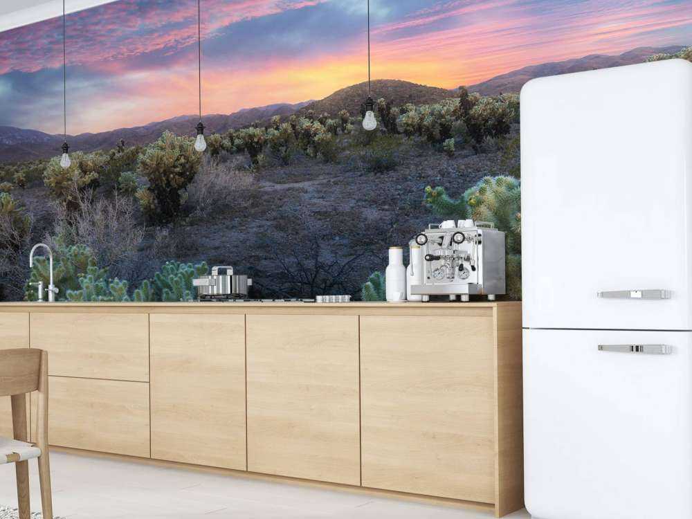 Cactusveld bij zonsondergang