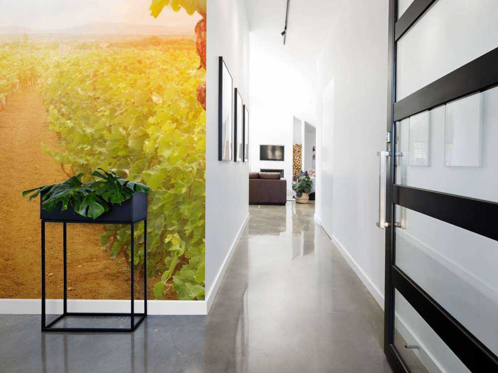 Wijngaard met druiven op de voorgrond