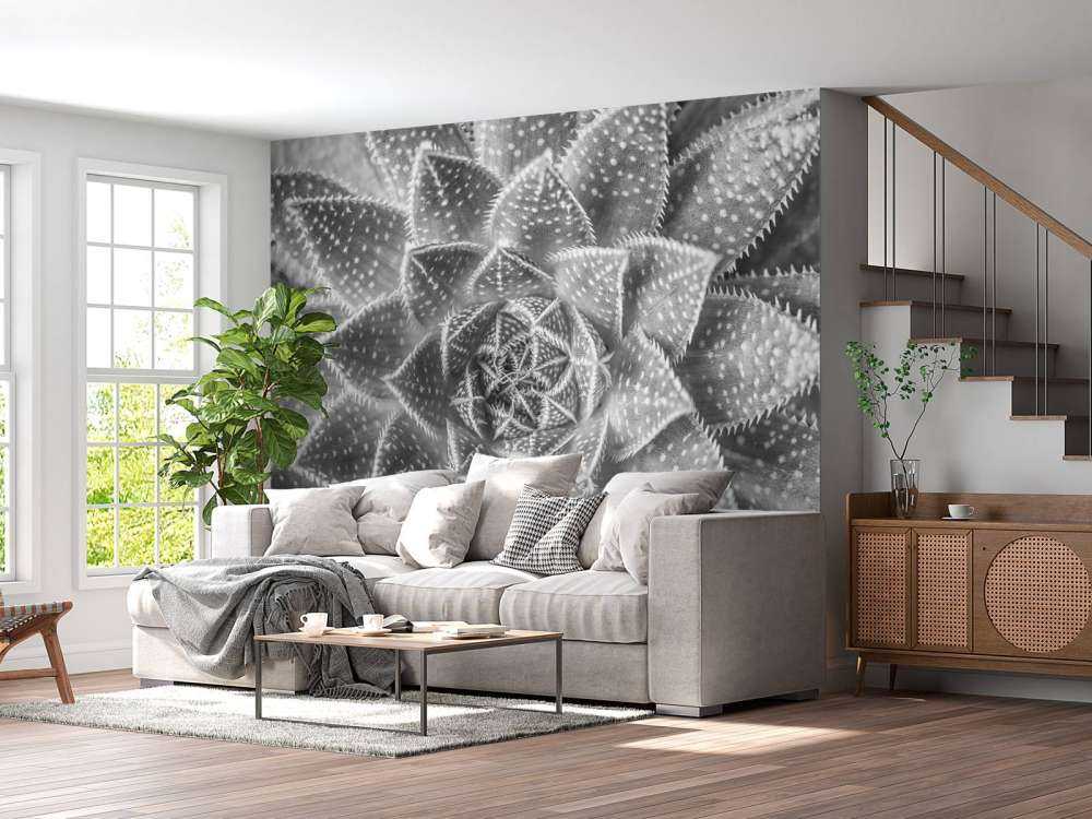 Close-up vetplant in zwart-wit