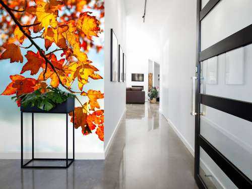 Herfst bladeren
