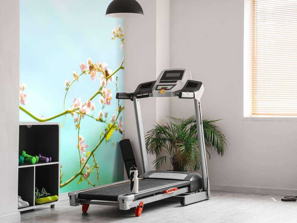 2 Mooie Vlinders op Bloesem