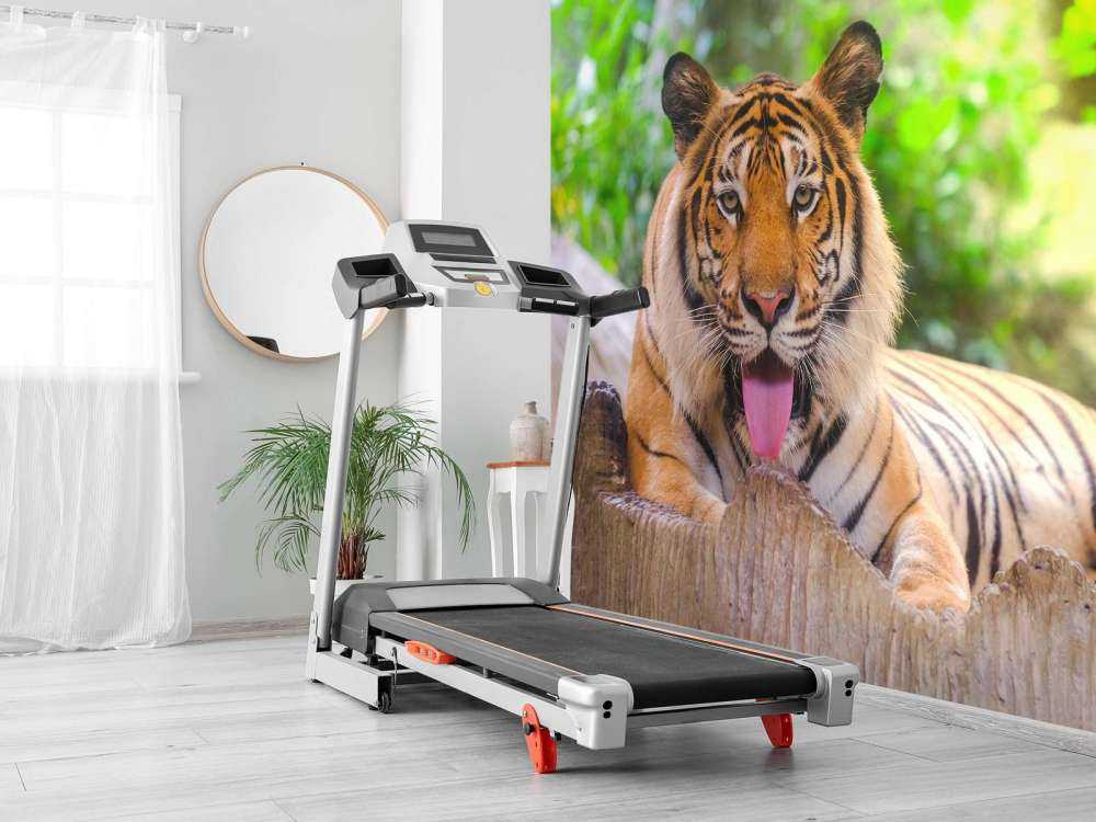 Siberische Tijger steekt tong uit