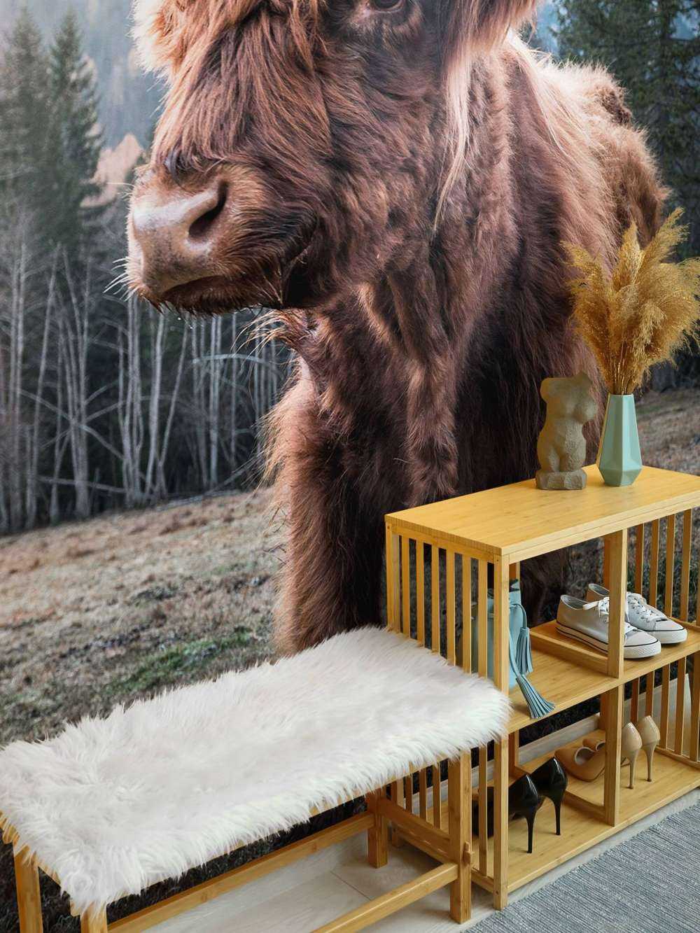 Schotse Hooglander in de ochtend