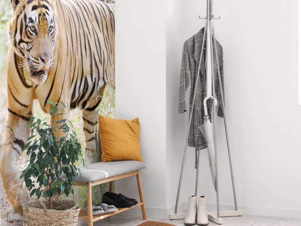 Bengaalse Tijger lopend in woud