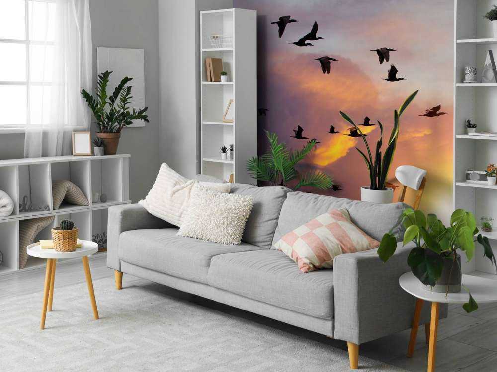 Vliegende aalscholvers bij zonsondergang