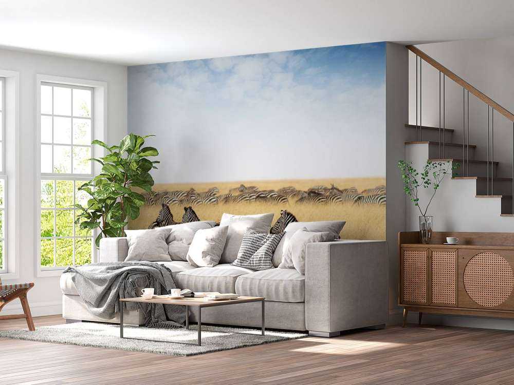 Kudde zebra's in Kenia