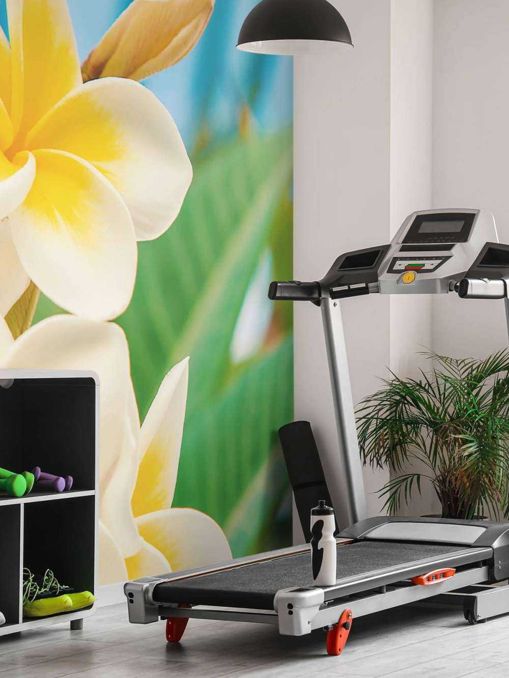 Wit gele Plumeria bloemen