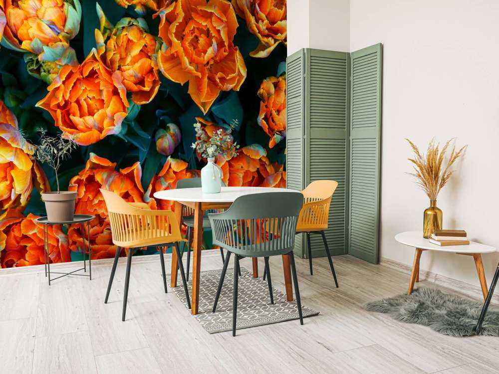 Close-up oranje tulpen