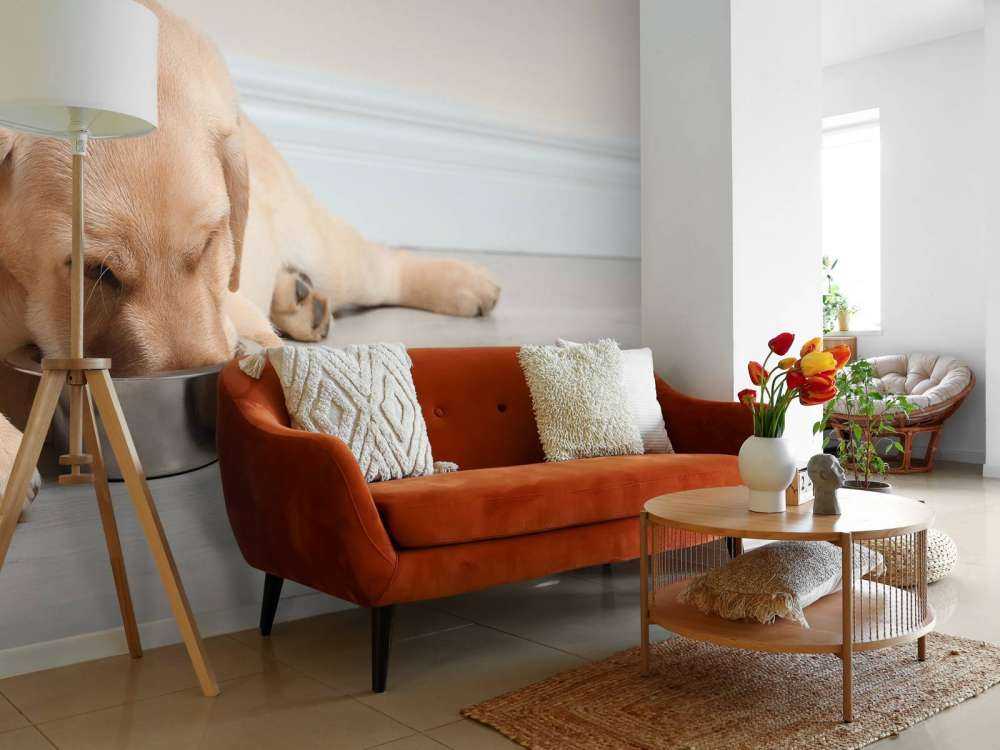 Schattige labrador is aan het eten