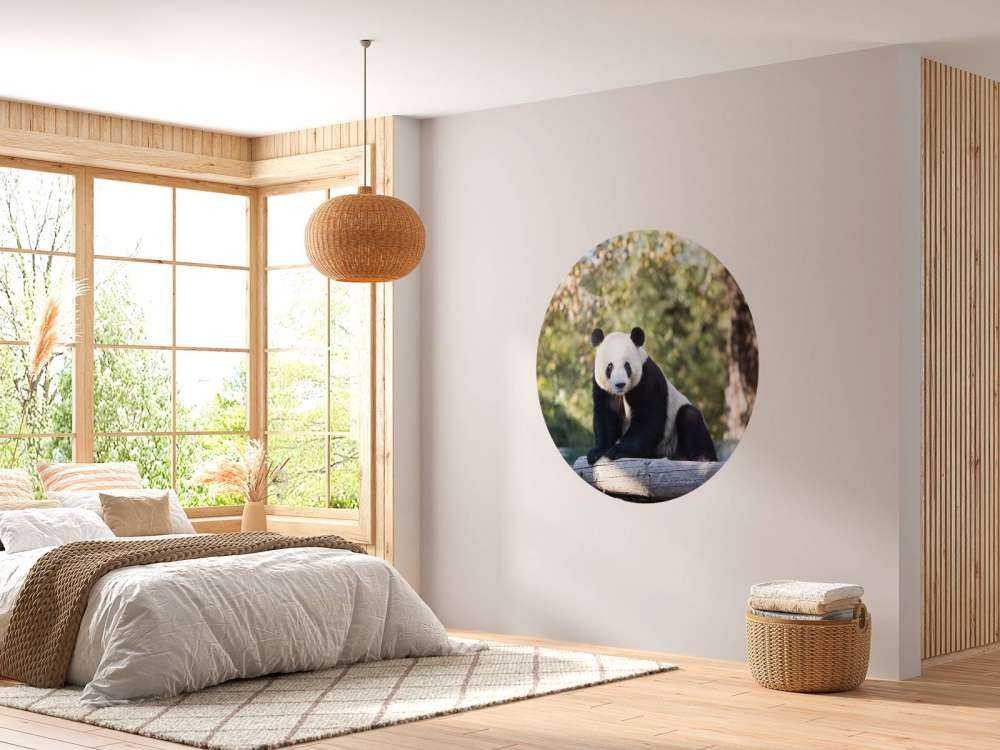 Panda op een houten balk