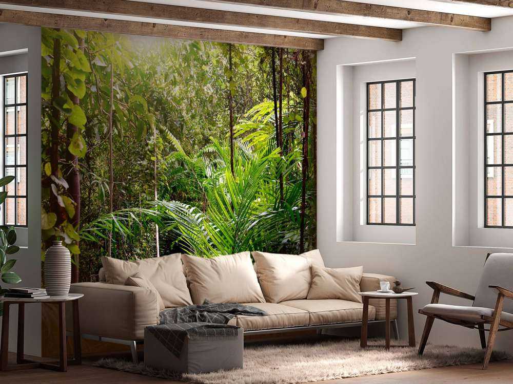 Vol gegroeid oerwoud