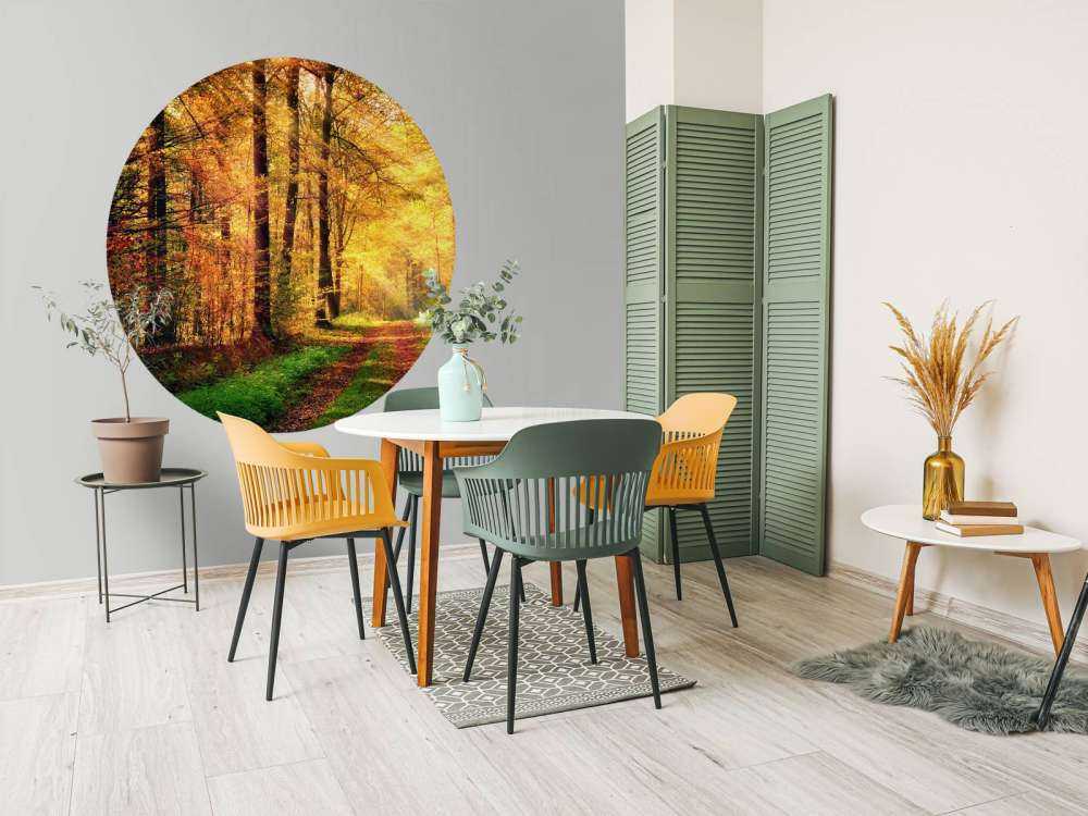 Zonsopkomst in het bos