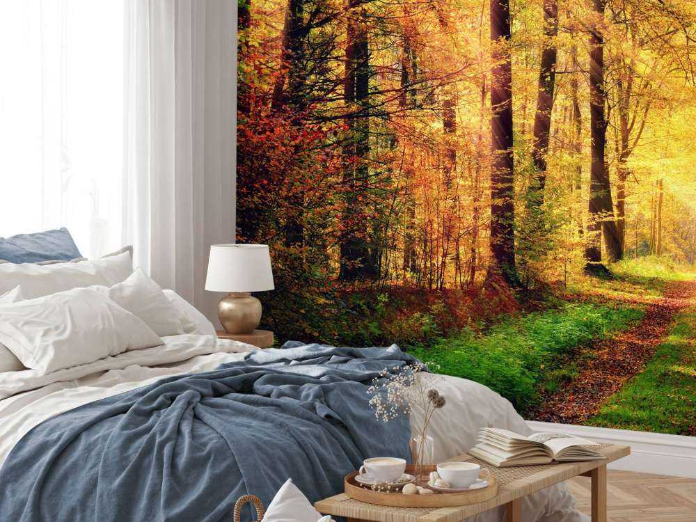 Zonsopkomst in het bos