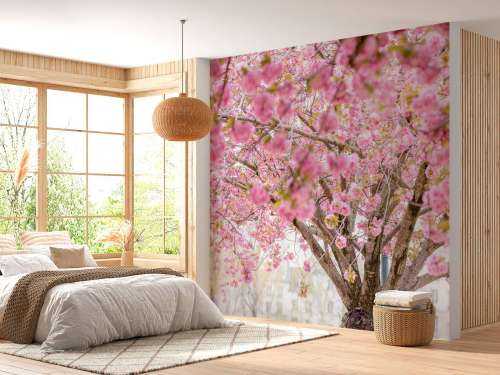 Bloesemboom