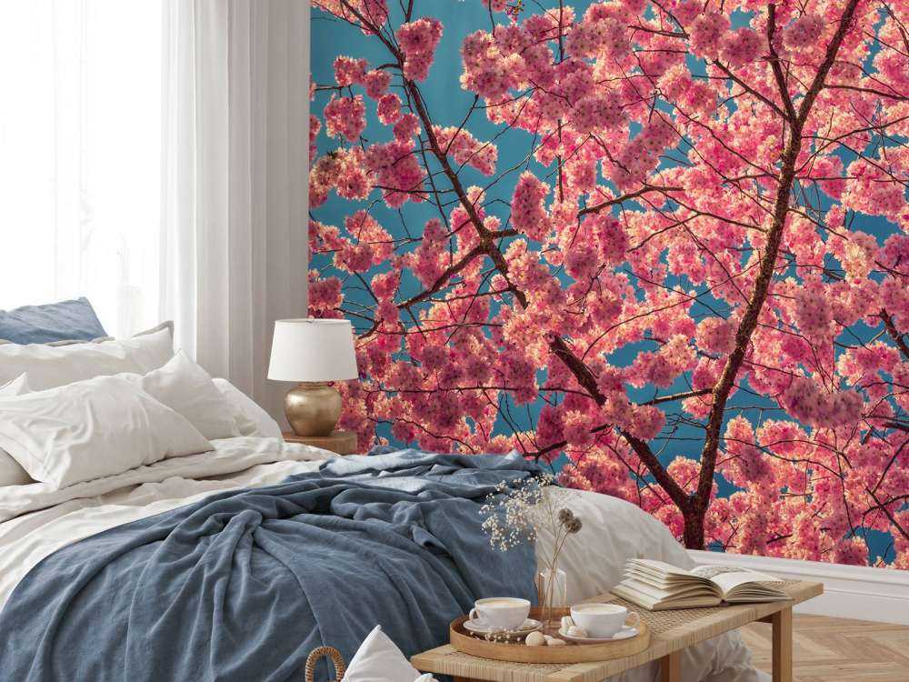 Felgekleurde roze bloesems