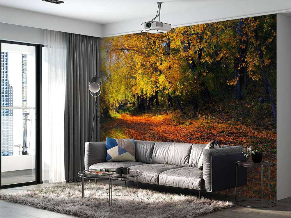 Herfstbos met Bomen en Bladeren