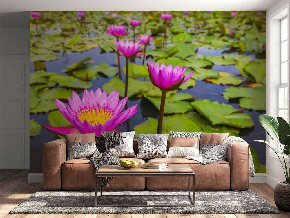 Opvallende roze lotusbloem