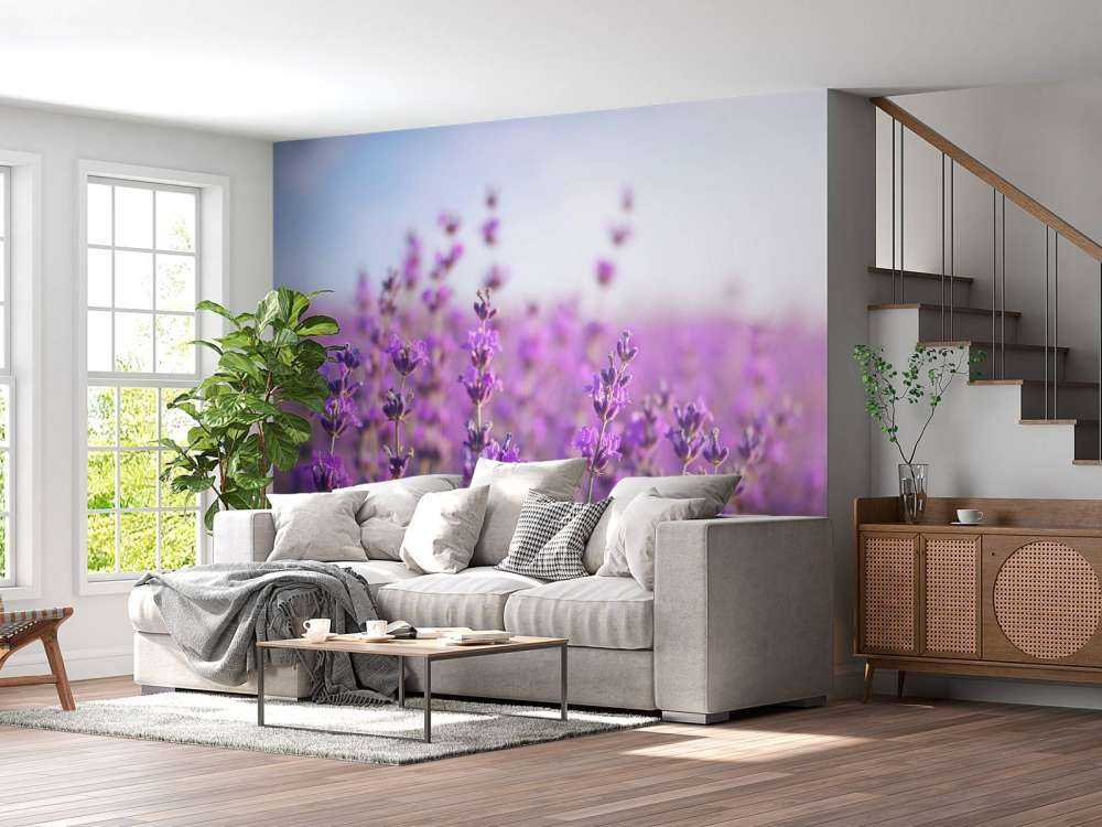 Close-Up van Lavendel