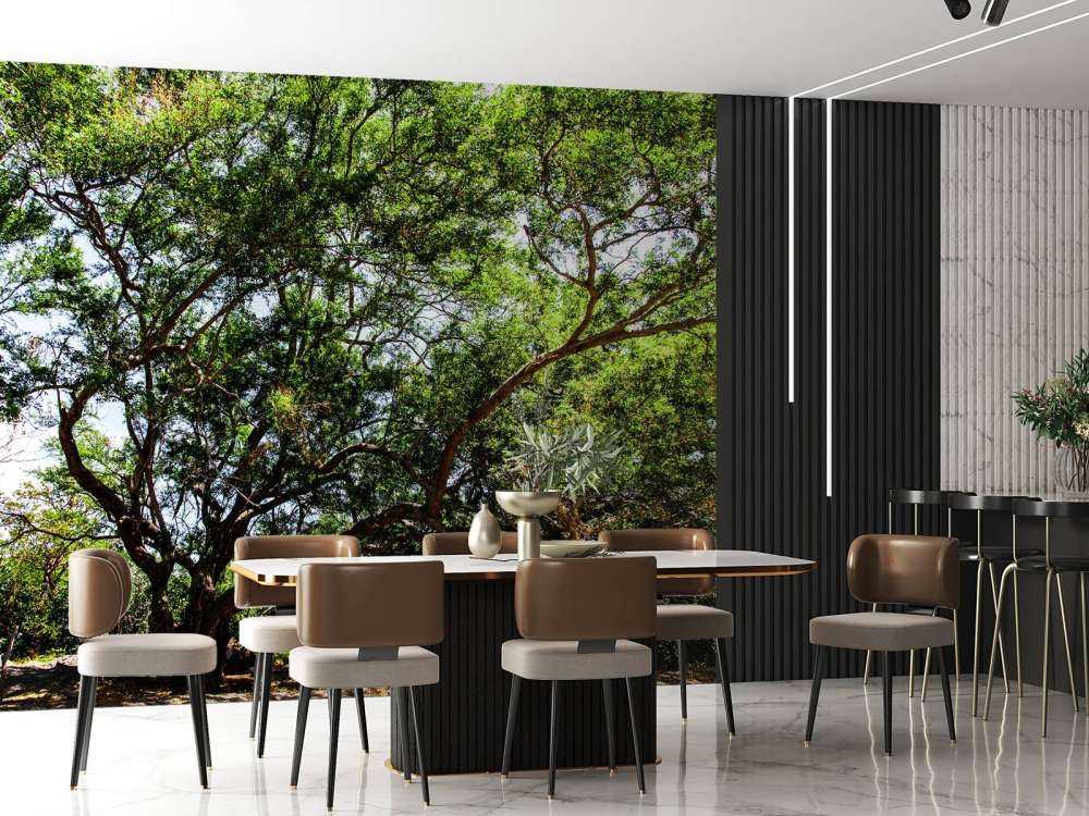 Oude Boom in Jungle