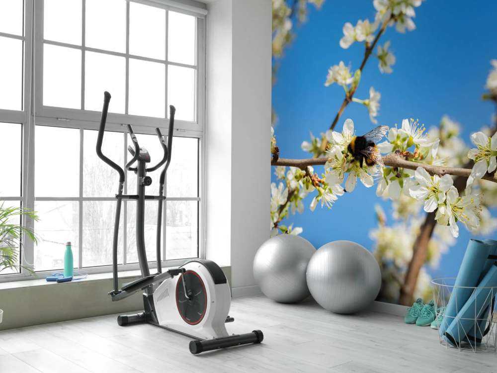 Hommel met witte bloesems