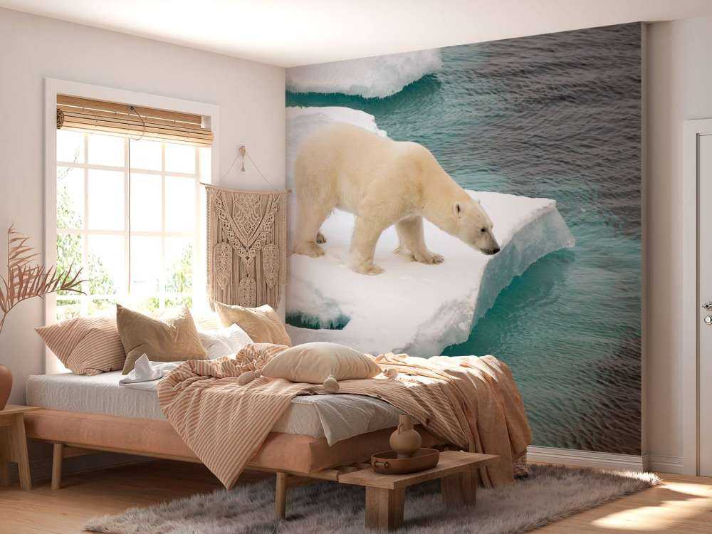 Een ijsbeer observeert de zee