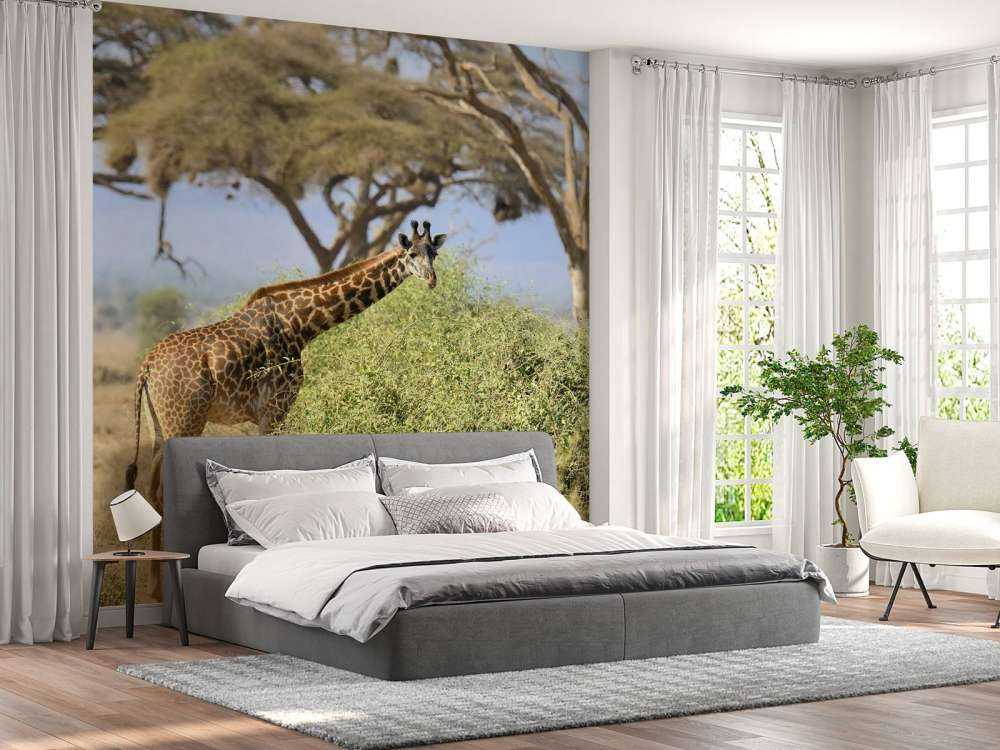 Schattige Giraffe tussen struiken