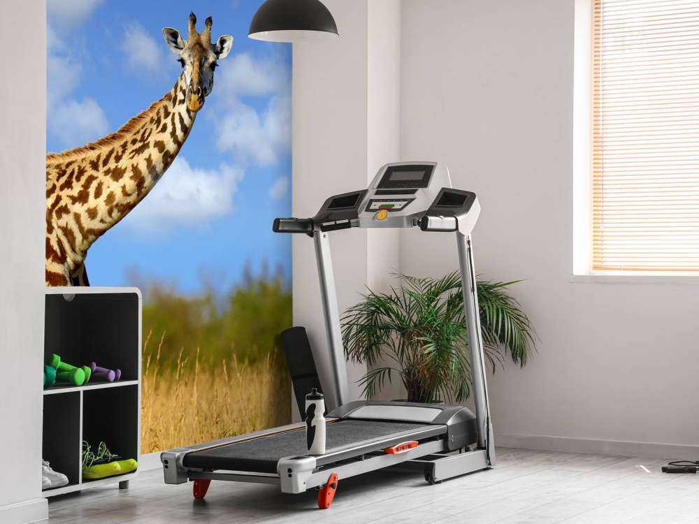 Giraffe met grappige houding