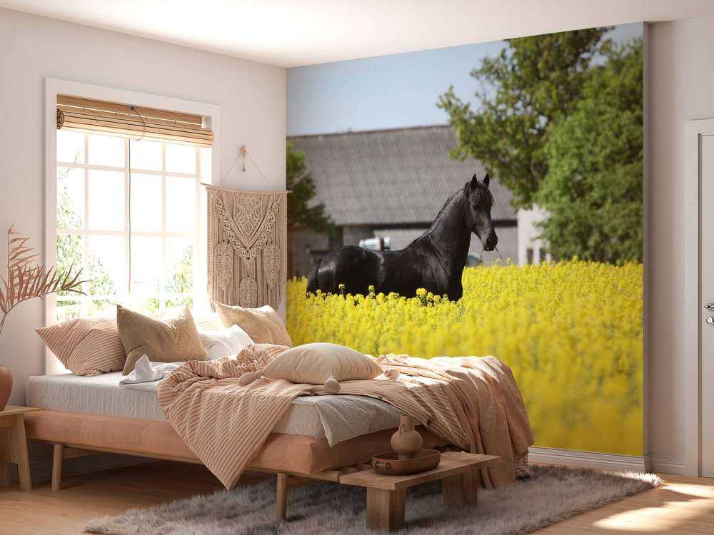 Zwart Fries Paard in de lente tussen de bloemen