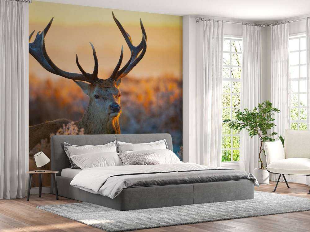 Portret van een Hert (Edelhert)