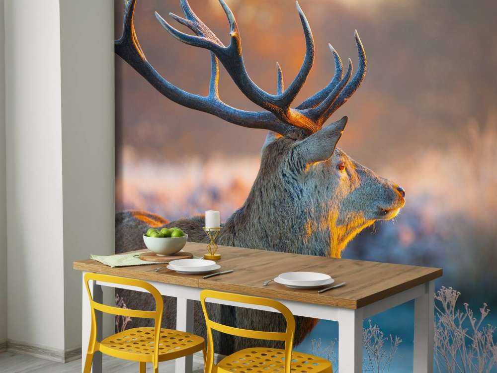 Hert met Wazige achtergrond