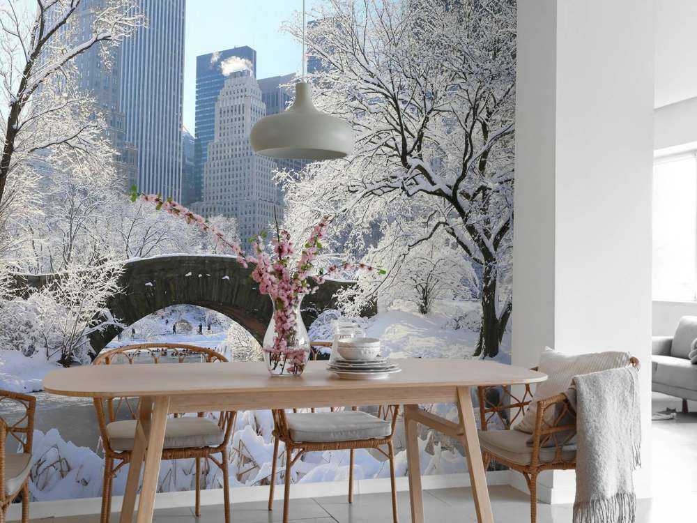 Winter in New York