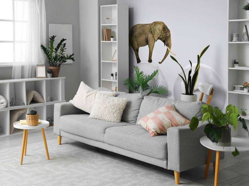 Olifant op een witte bal