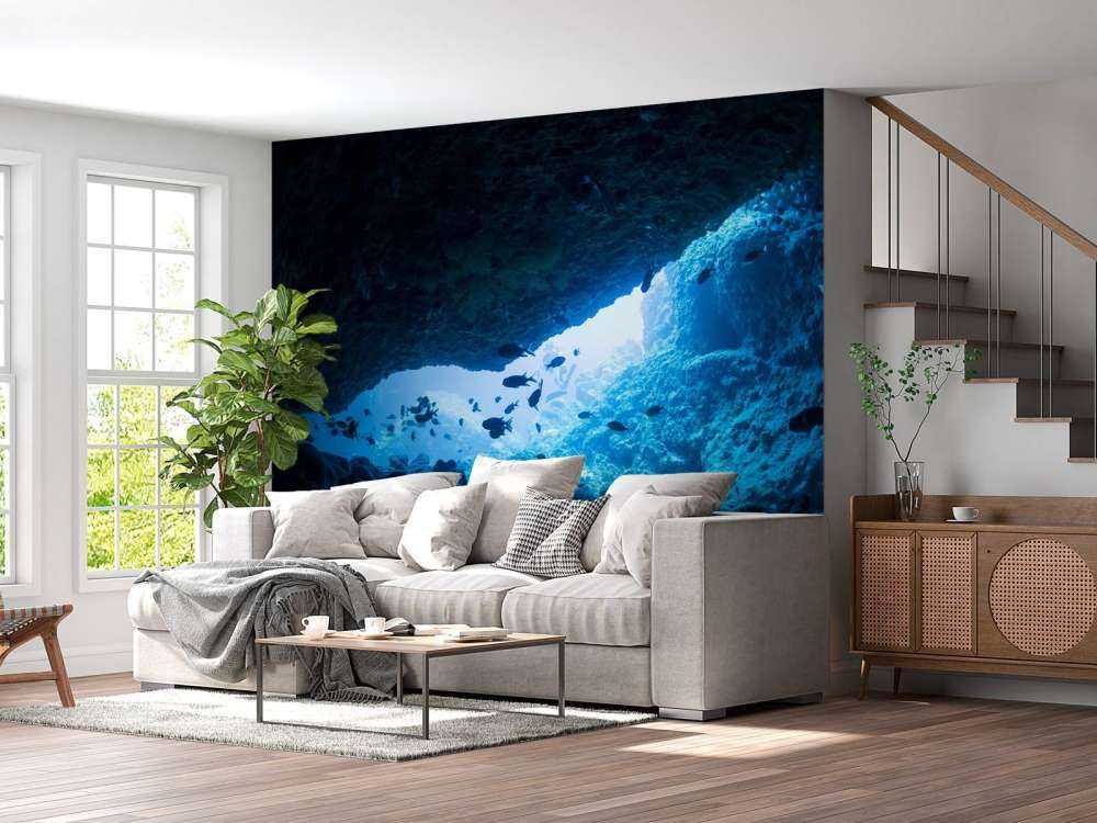 Smalle grot met vissen