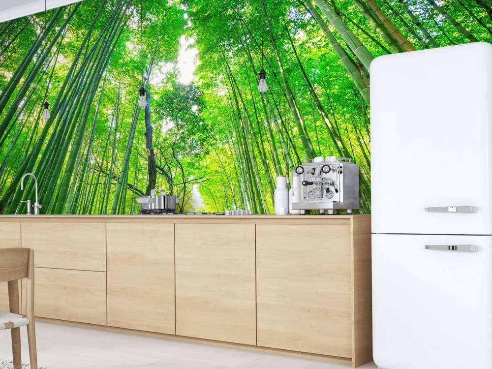 Bamboebos van Arashiyama