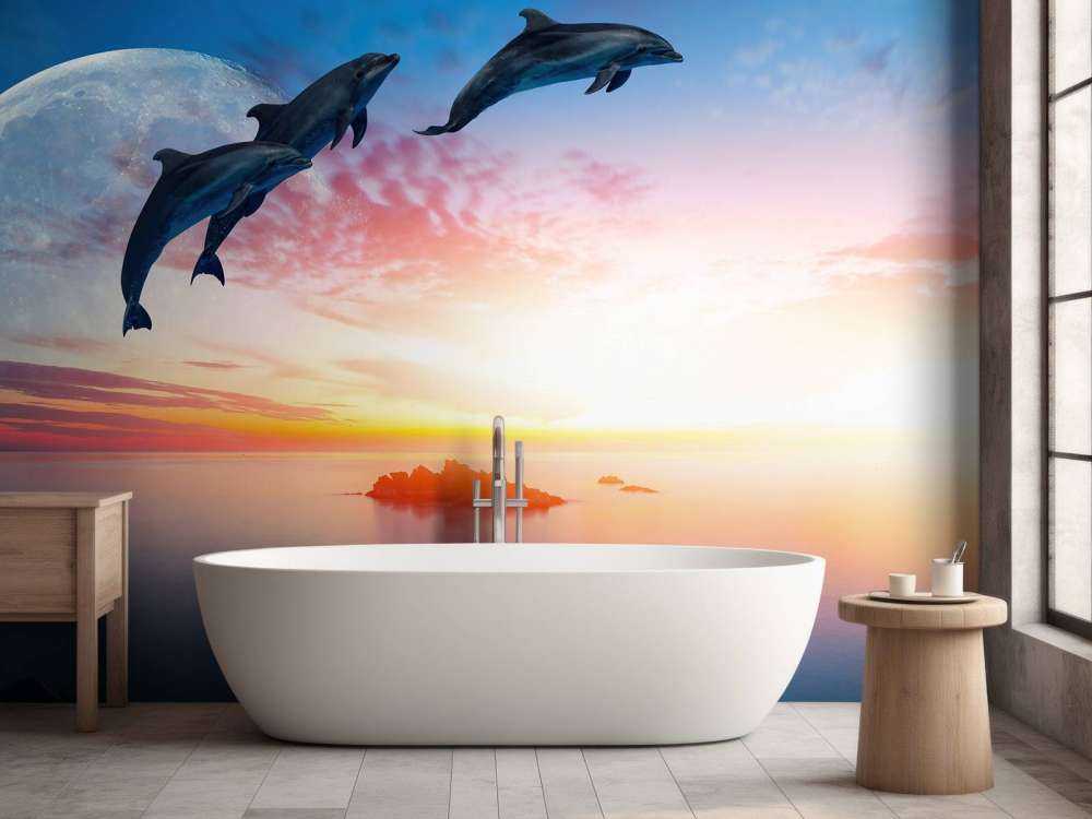 Dolfijnen in de nacht