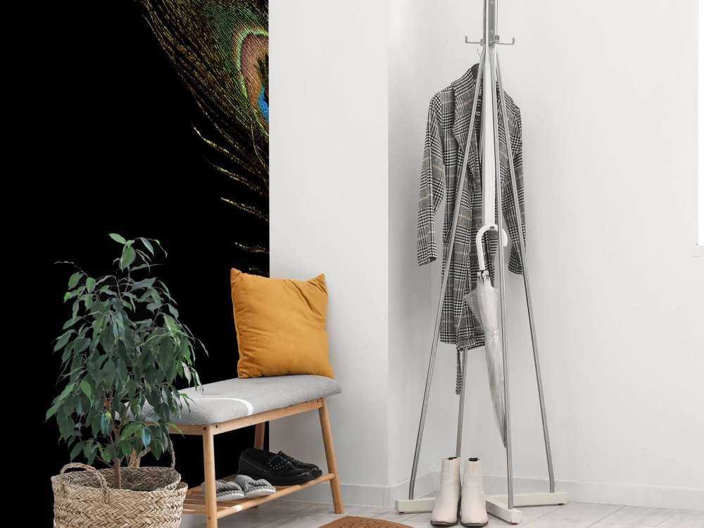 Kleurrijke pauwenveer