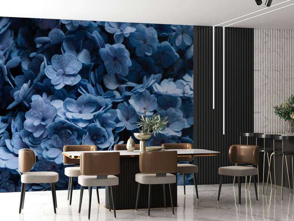 Close-up hortensia's