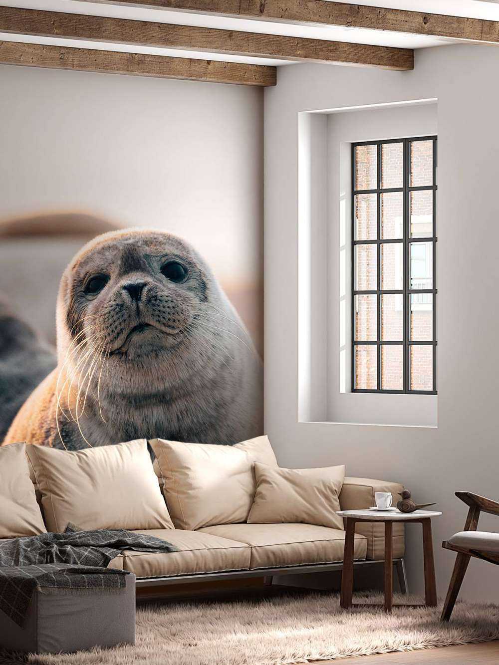 Zeehond op strand in avondlicht