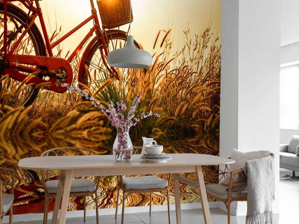 Fiets bij zonsondergang